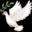🕊️
